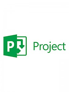 Microsoft Project Standard 2019 - Englisch