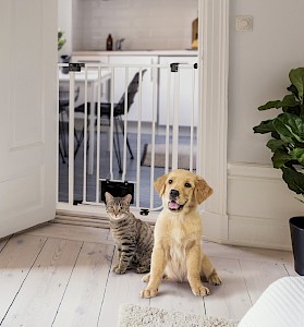 IMPAG® Tür- und Treppenschutzgitter Nala  Polar-Weiß 137 - 142 cm