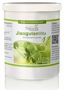 Jiaogulan Vita 4-Monatsvorrat, 480 Kapseln