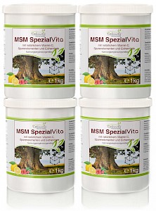 MSM Spezial Vita mit Vitamin C - Vorteilspaket 4 x 1kg