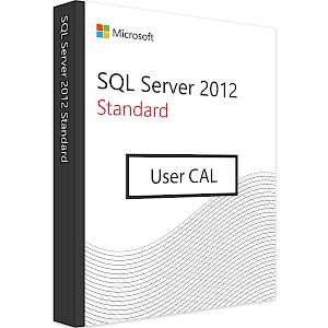 Microsoft SQL Server 2012 Standard - 1 User CAL