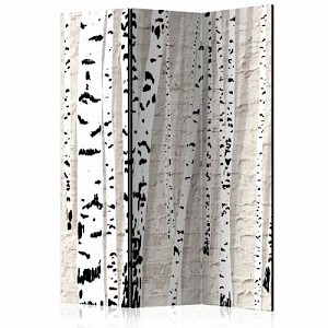 artgeist Paravent Birchen Grove [Room Dividers] mehrfarbig Gr. 135 x 172