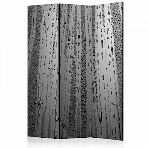 artgeist Paravent Summer drizzle [Room Dividers] grau Gr. 135 x 172