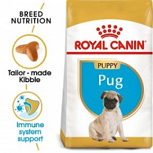 ROYAL CANIN Pug Puppy Welpenfutter trocken für Mops 2x1,5kg