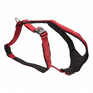 Wolters Cat&Dog Wolters Professional Comfort Geschirr rot/black 1